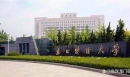 东北财经大学理工科专业怎么样(东北财经大学是理科还是文科)