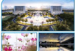 广东财经大学艺术类专业怎么样(广东财经大学2020艺术类招生简章)