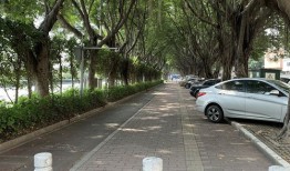财经学院到万达公交车怎么坐(财经学院公交站)