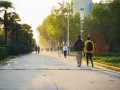 东北财经大学跆拳道队怎么样(东北财经大学跆拳道队怎么样啊)