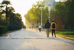 东北财经大学跆拳道队怎么样(东北财经大学跆拳道队怎么样啊)