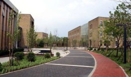 中央财经大学工商管理专业怎么样(中央财经大学工科)