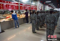 财经政法大学二层食堂怎么样(财经政法大学二层食堂怎么样啊)
