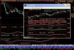 文华财经两个屏幕怎么开两个页面(文华财经怎么双开)