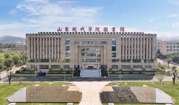 90年代的烟台财经学院怎么样(烟台财经学院是几本)