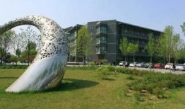 财经大学混进四大专业怎么样(四所财经类院校)