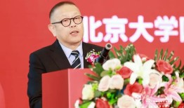 中央财经大学董阳教授怎么样(董兆祥中央财经领导小组)