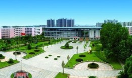 财经现代管理学院怎么样(财经现代管理学院怎么样知乎)
