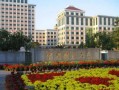 中央财经大学的公共管理类怎么样(央财公共管理专硕)