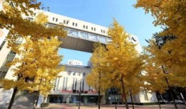 中央财经大学出来的研究生怎么样(中央财经大学研究生就业怎么样)