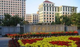 中央财经大学校园环境怎么样(中央财经大学内景)