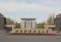 河南财经政法大学李观虎怎么了(河南财经政法大学李焕云)