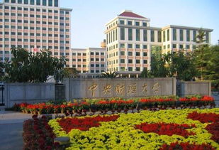 中央财经大学校园环境怎么样(中央财经大学内景)