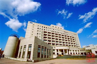 东北财经大学怎么样值不值得去(东北财经大学如何?