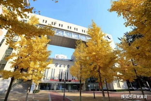 中央财经大学出来的研究生怎么样(中央财经大学研究生就业怎么样)