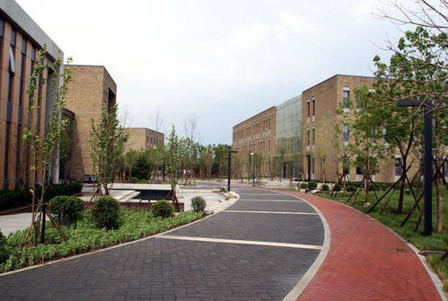 中央财经大学工商管理专业怎么样(中央财经大学工科)