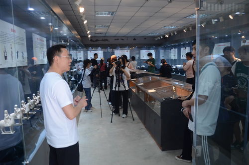 默默学财经类的专业课网课怎么样(默默学网课好吗)