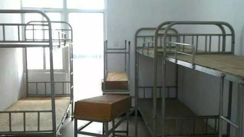 山东财经大学用违禁品被抓怎么办(山东财经大学宿舍楼下视频)