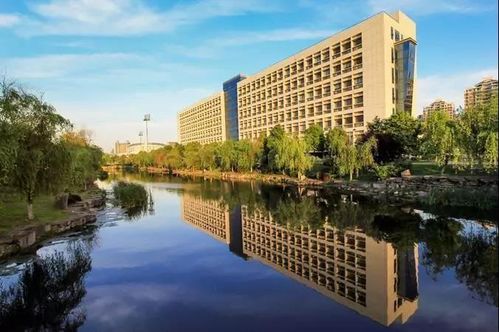 中南财经政法大学国际班怎么样啊(中南财经政法大学国际班的学生去向)