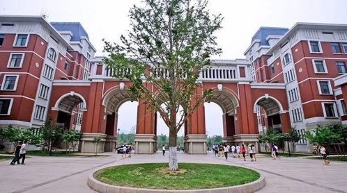 山东财经大学校园环境怎么样(山东财经大学校园环境怎么样啊)