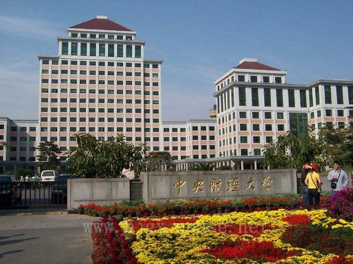 南宁财经大学校园环境怎么样(南宁财经大学校园环境怎么样啊)
