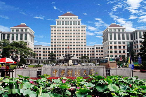 中央财经大学学院南路校区怎么走(北京市中央财经大学学院南路校区 地址)