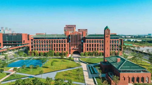 河南财经政法大学人工智能怎么样(河南财经大学政法学院)