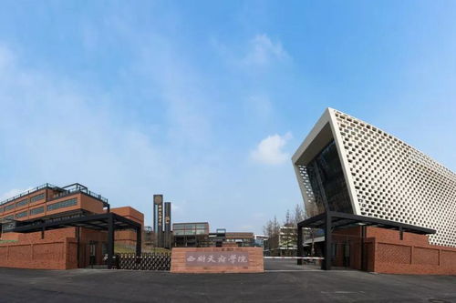 四川财经学院单招失利怎么办(四川财经职业单招好不好过)
