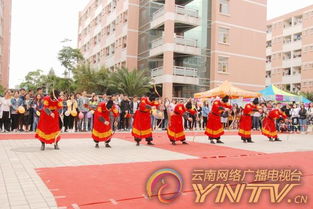 云南财经大学校园网故障怎么报修(云南财经大学ip地址)
