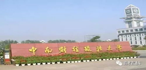 中南财经政法大学游泳池怎么样(中南财大游泳池有人去吗)