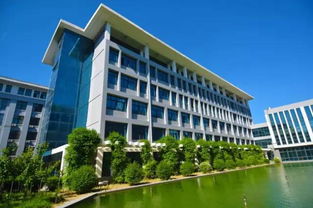 三门峡市财经学校怎么样(三门峡市财经学校怎么样知乎)