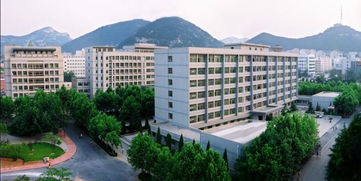 山东财经大学美术学师范类怎么样(山东财经大学美术学师范类怎么样啊)