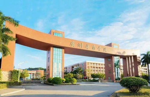江西财经职业学院校园网wifi怎么弄(江西财经职业学院无线网)