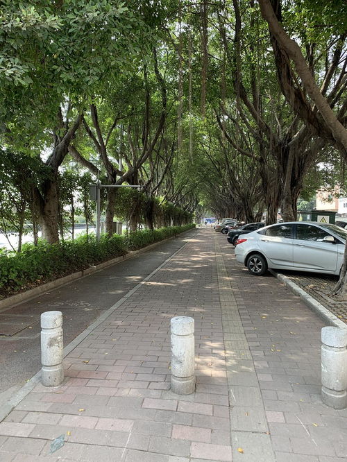 财经学院到万达公交车怎么坐(财经学院公交站)