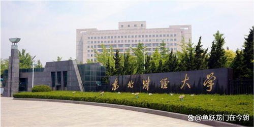 东北财经大学理工科专业怎么样(东北财经大学是理科还是文科)