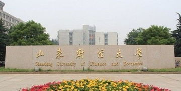 山东财经大学成人本科挂科怎么办(山东财经大学成人本科专业有哪些)