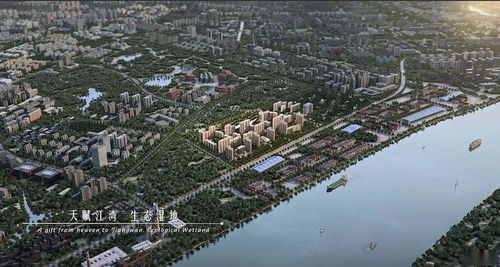 五角场新江湾城财经翻译怎么收费(上海五角场江湾新城)