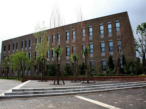 中央财经大学政府管理专业怎么样(中央财经大学的财政学类都学什么)