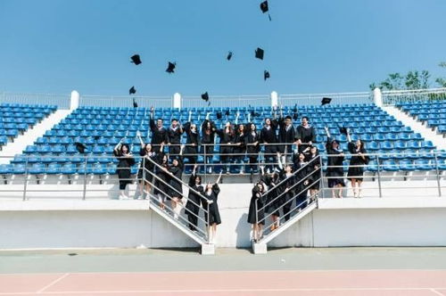 东北财经大学校园网怎么连(东北财经大学网络中心)