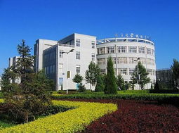 中央财经大学理工科怎么样(中央财经大学理工科怎么样啊)