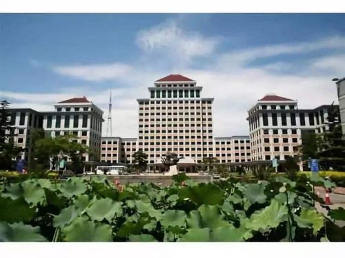 中央财经大学生活怎么样(中央财经大学生活怎么样知乎)