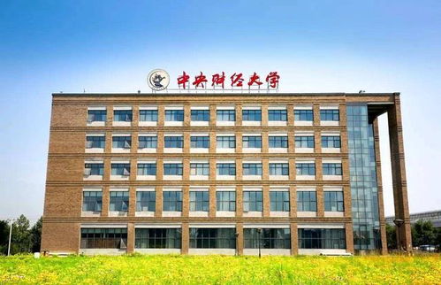 中央财经大学数理经济就业怎么样(中央财经大学数学专业怎么样)