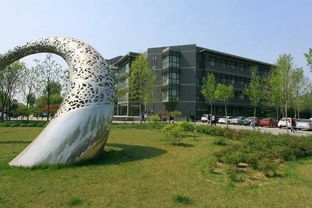 财经大学混进四大专业怎么样(四所财经类院校)