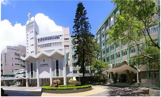 八里湖蛟滩财经大学怎么样(八里湖蛟滩财经大学怎么样呀)