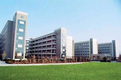 瑞希去内蒙古财经大学怎么走(瑞希去内蒙古财经大学怎么走)