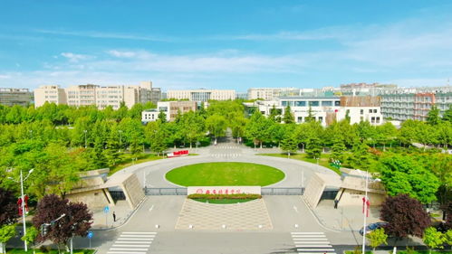 西安财经大学校园绿化怎么样(西安财经大学环境氛围怎么样)