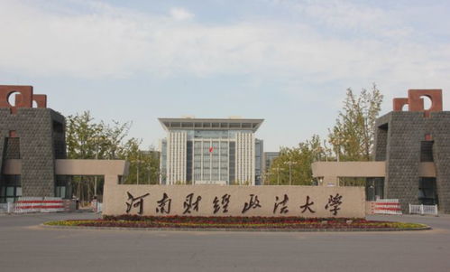 河南财经政法大学李观虎怎么了(河南财经政法大学李焕云)