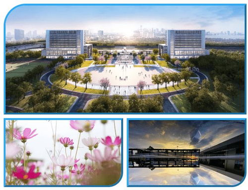 广东财经大学艺术类专业怎么样(广东财经大学2020艺术类招生简章)