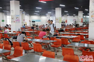 财经政法大学包窗口卖饭怎么样(财经政法大学食堂)