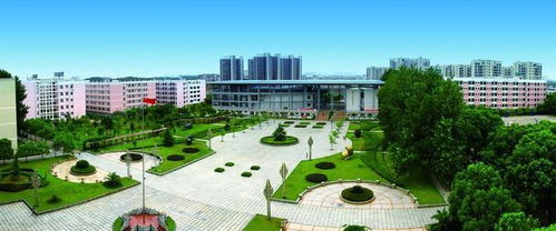 财经现代管理学院怎么样(财经现代管理学院怎么样知乎)